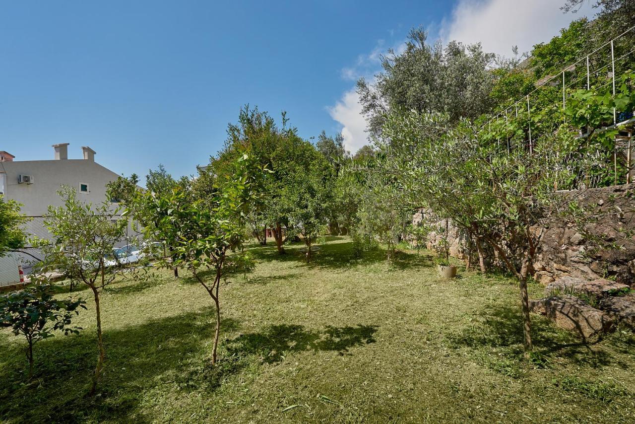 Apartmani Kuca U Maslinama Sveti Stefan Kültér fotó